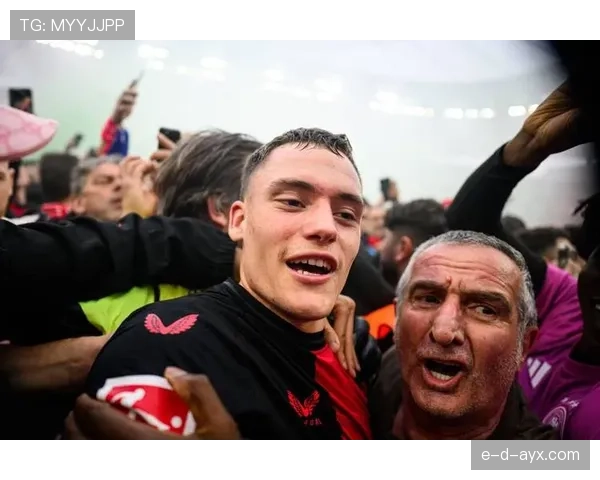 德甲新赛季即将降临，德甲新赛季即将到来