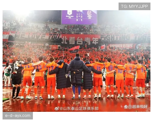 山东泰山夺冠奖金曝光,球员豪取丰厚奖励引关注 山东泰山夺冠奖金曝光,球员豪取丰厚奖励引关注