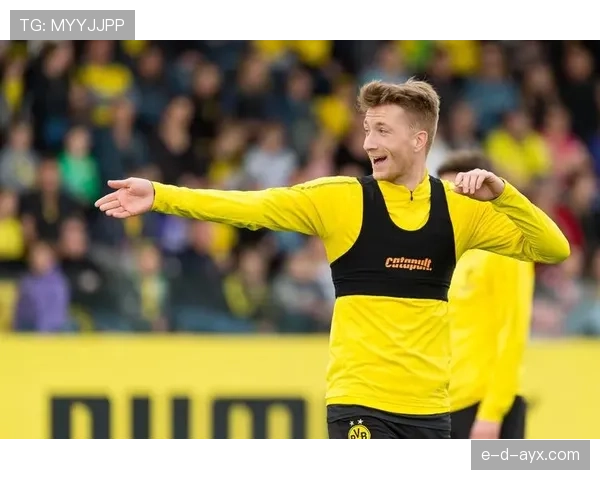 多特蒙德时期,顶级射手罗伊斯的战术转型与表现分析 多特蒙德时期,顶级射手罗伊斯的战术转型与表现分析