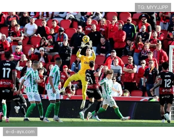 奥布拉克 vs 库尔图瓦:门线反应与身高覆盖差异解析 奥布拉克 vs 库尔图瓦:门线反应与身高覆盖差异解析