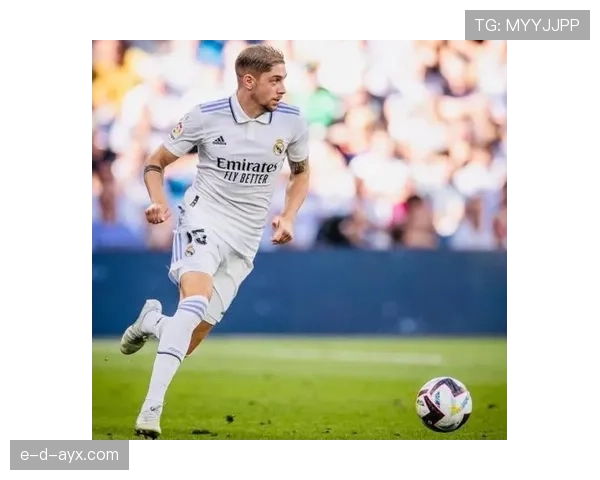 巴尔韦德全能却缺乏专精? 巴尔韦德全能却缺乏专精?